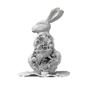Waterrabbit_29.webp