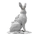 Waterrabbit_21.webp