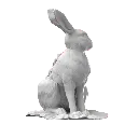 Waterrabbit_17.webp