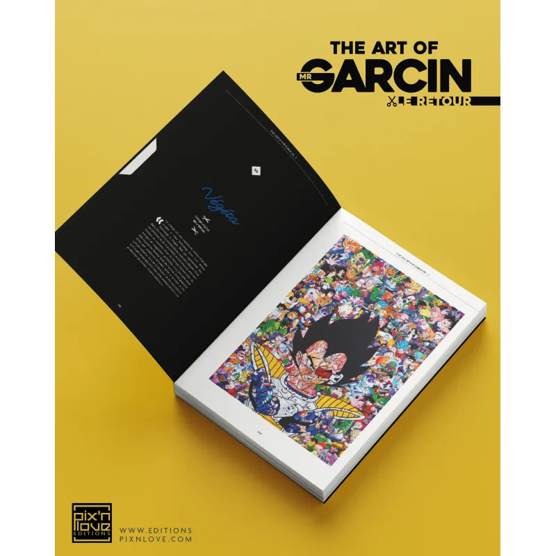 the-art-of-mr-garcin-le-retour.webp