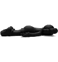 Compagnion 2020 Black2.webp