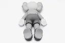 Companion Grey2.webp