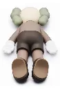 Companion Brown 2.webp