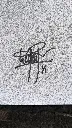 1000014502.webp