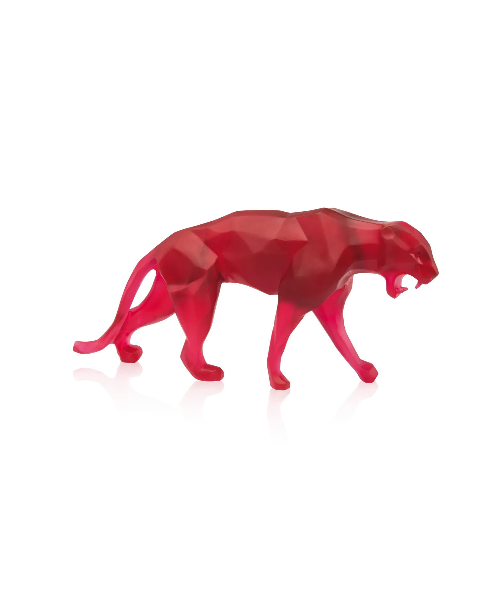 Wild Panther - Petit modèle