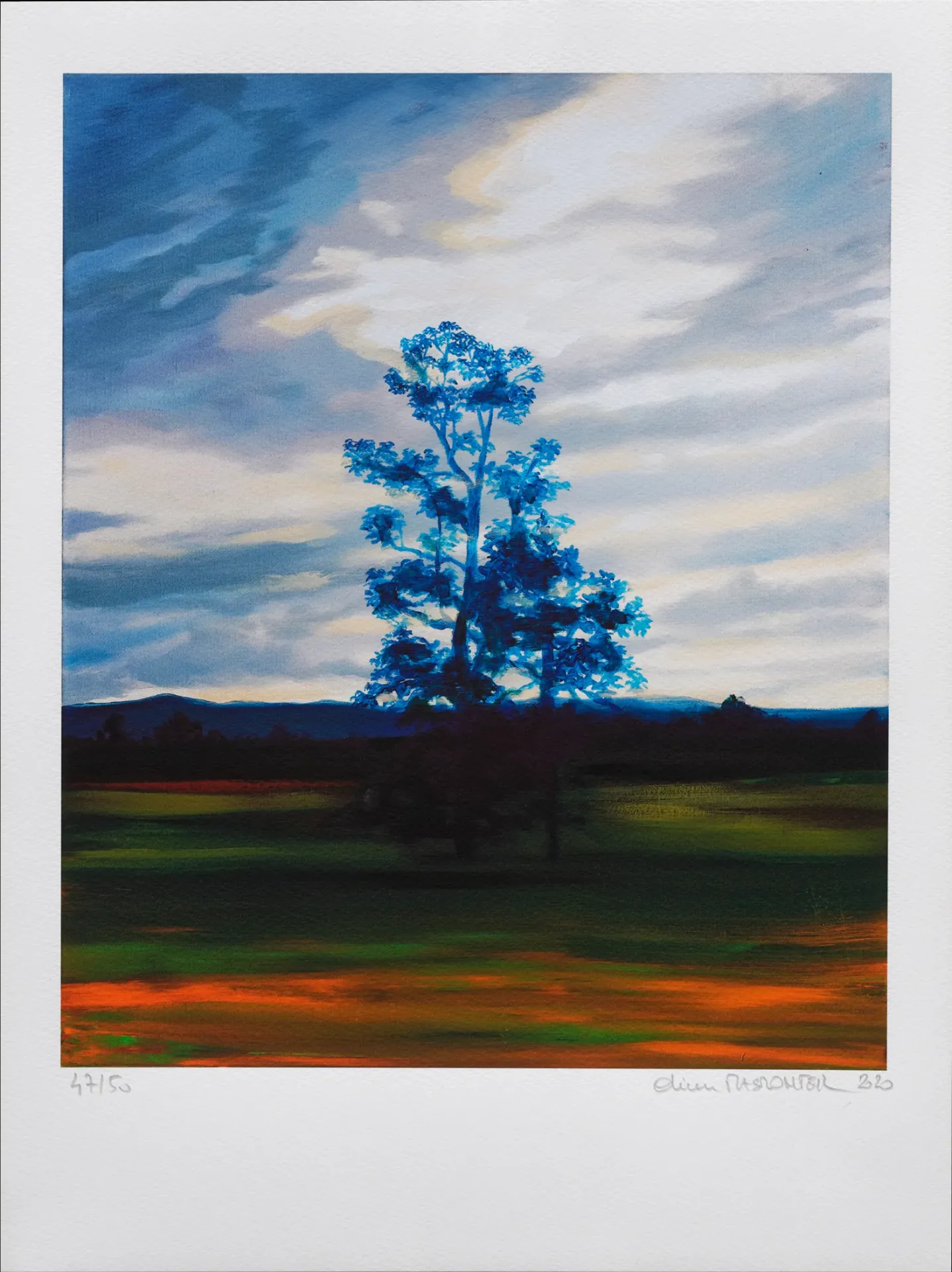 [Olivier Masmonteil] White Pine Nightscape #5