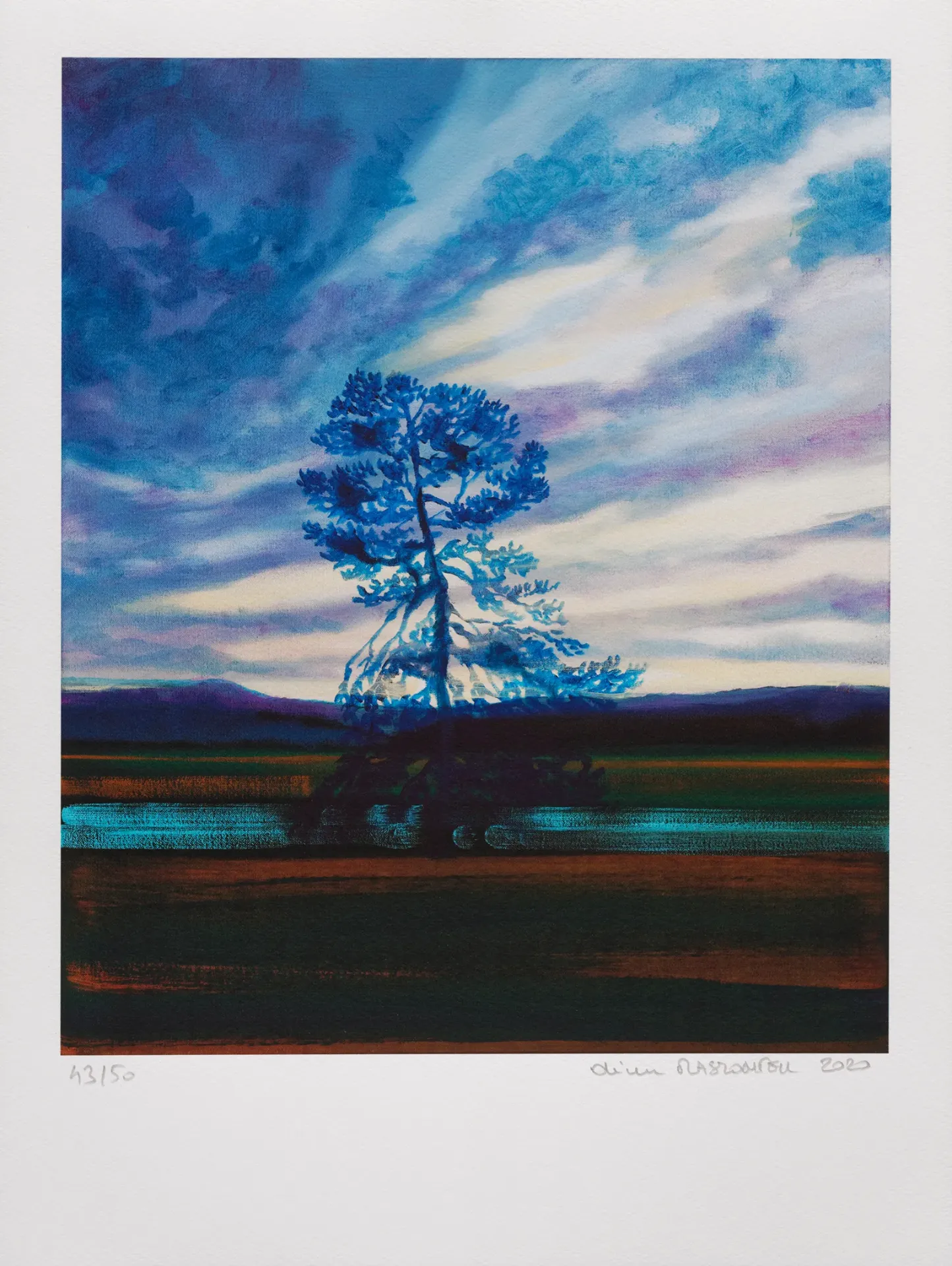 White Pine Nightscape #1