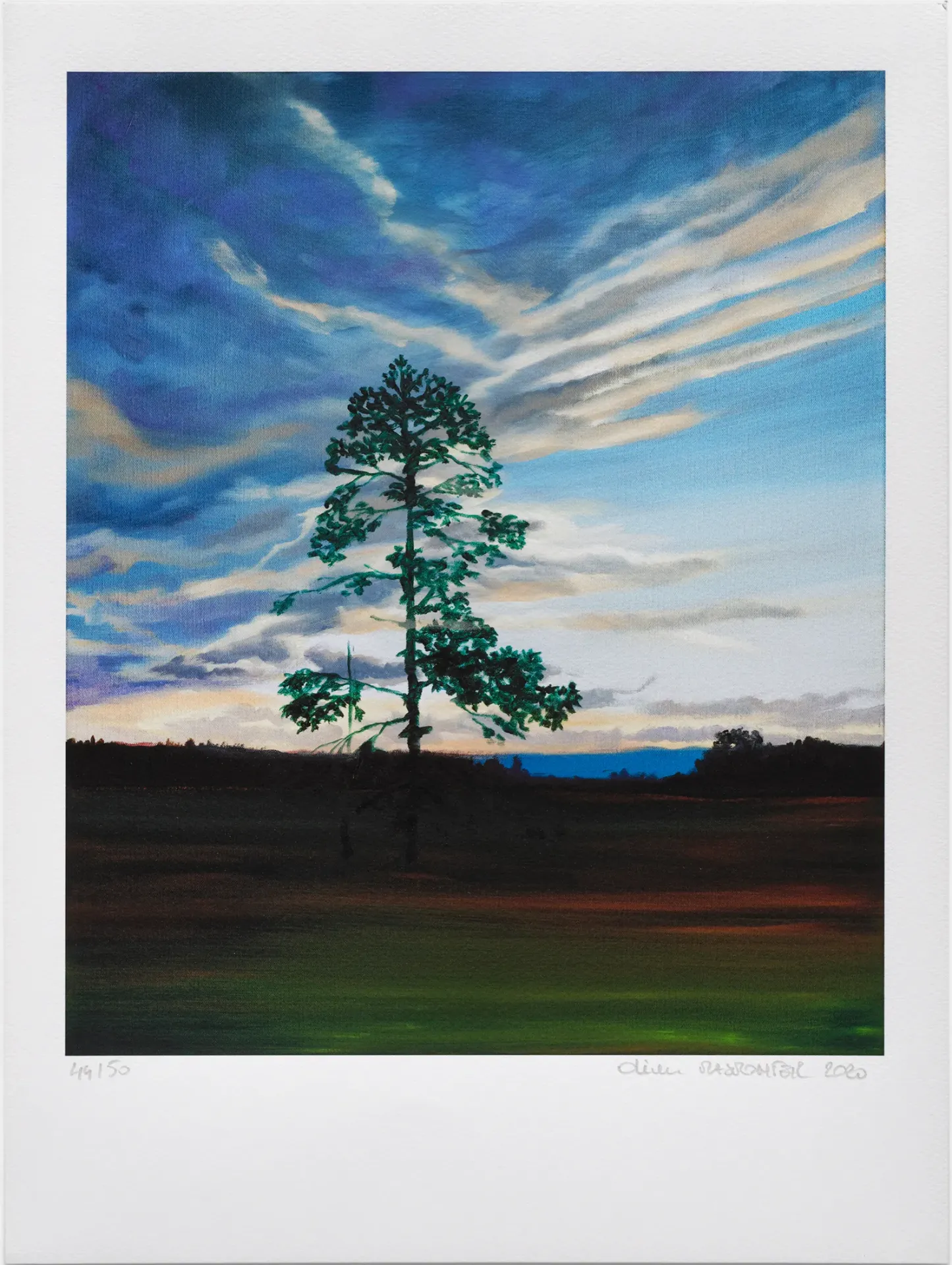[Olivier Masmonteil] White Pine Nightscape #6